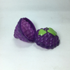 Purple Grapes To-Go Box Plastic Container Fruit keeper